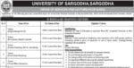 latest university of sargodha jobs,university of sargodha jobs 2026,latest sargodha university jobs advertisement 2026,latest university of sargodha jobs 2026,latest sargodha jobs 2026,