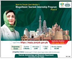 magnificent tourism internship program,latest mpip.punjab.gov.pk internships,latest government of punjab internships 2026,latest punjab government jobs 2026,punjab government internships 2026,maryam Nawaz internship program,