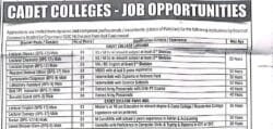 latest cadet college jobs,cadet college pano aqil jobs 2026,latest cadet college jobs 2026 advertisement,cadet college jobs in sindh 2026,apply cadet college sindh jobs 2026,apply cadet college careers
