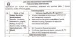 public school mirpurkhas jobs,latest public school mirpurkhas jobs 2026,mir sher muhammad khan talpur mirpurkhas jobs,latest public school jobs in mirpurkhas,latest mirpurkhas jobs 2026 advertisement,