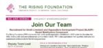 the rising foundation jobs,latest trf jobs 2026,latest trf.org.pk careers,latest the right foundation jobs 2026,latest trf jobs in sindh 2026,