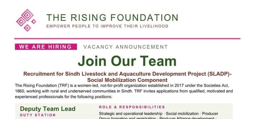 The Rising Foundation Jobs Apply for Latest TRF Positions in Sindh 2026 The Rising Foundation Jobs Apply for Latest TRF Positions in Sindh 2026